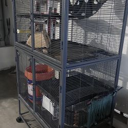 Critter nation 2 Story Cage 