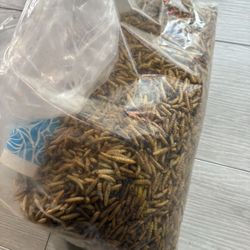 2 Lbs Dried meal Worms