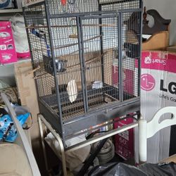 Bird Cage