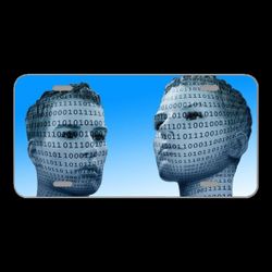 License Plate Novelty Car Front Binary Code Man Display Dummy Face