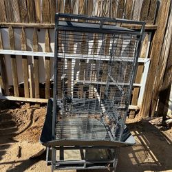 Bird Or Patriot Cage 