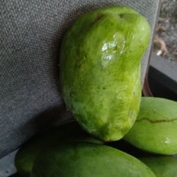Big Mango Francique $3