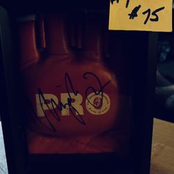 Autographed MMA/UFC fighter Gloves