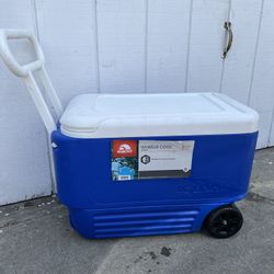 IGLOO COOLER 