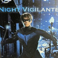 Soosoo Toys Nightwing 