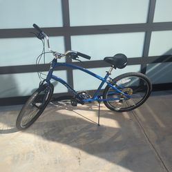 Bicycle/Cruiser