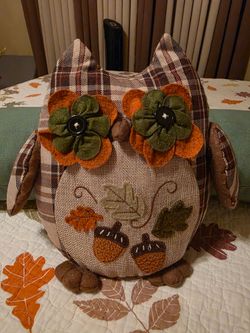 Fall Owl Decorative Throw Pillow, like new $15