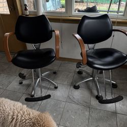 Hair Stylist Chairs 