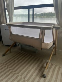 Evolur Sleep Bassinet