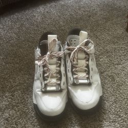 Nike dunks 