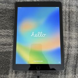 iPad (5th Generation)