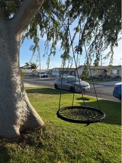 Tree swing