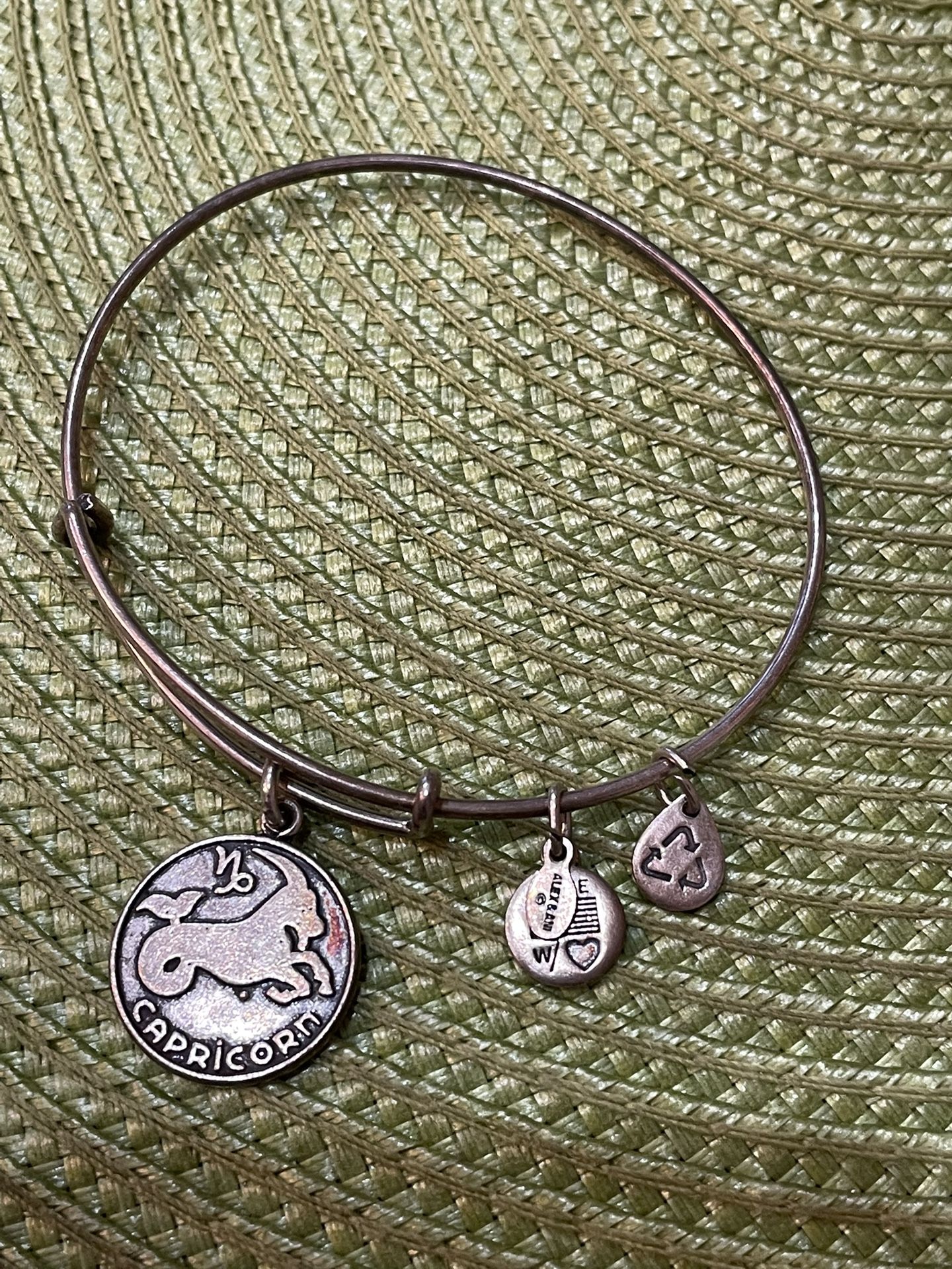 Alex And Ani Capricorn Bracelet 