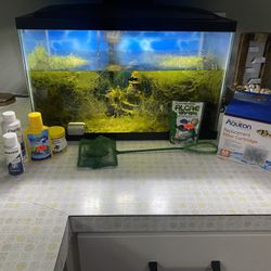 Fish Tank