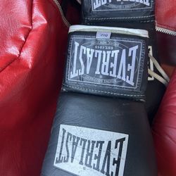 Everlast Pro Fight 8 Oz Gloves