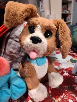 Automated dog and cat toy/toys