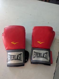 Everlast Pro Style Training Boxing 12 oz Gloves