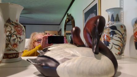 Ducks unlimited special edition Ohio 1994