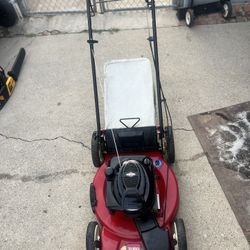 Toro Recycler 22" Self-Propelled Lawnmower