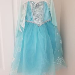 Disney's Frozen Elsa Girl's costume - 4 Year old