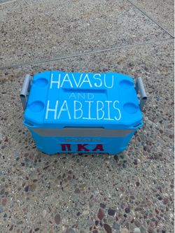Igloo cooler for sale