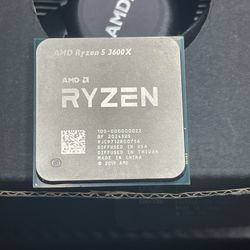 Ryzen 5 3600 X