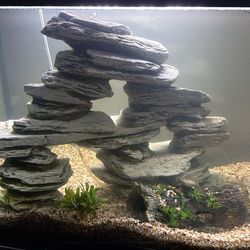 125 gallon fish tank