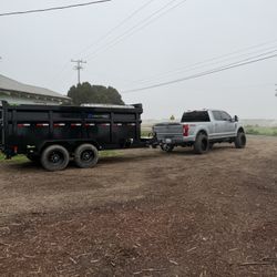 Dump Runs 
