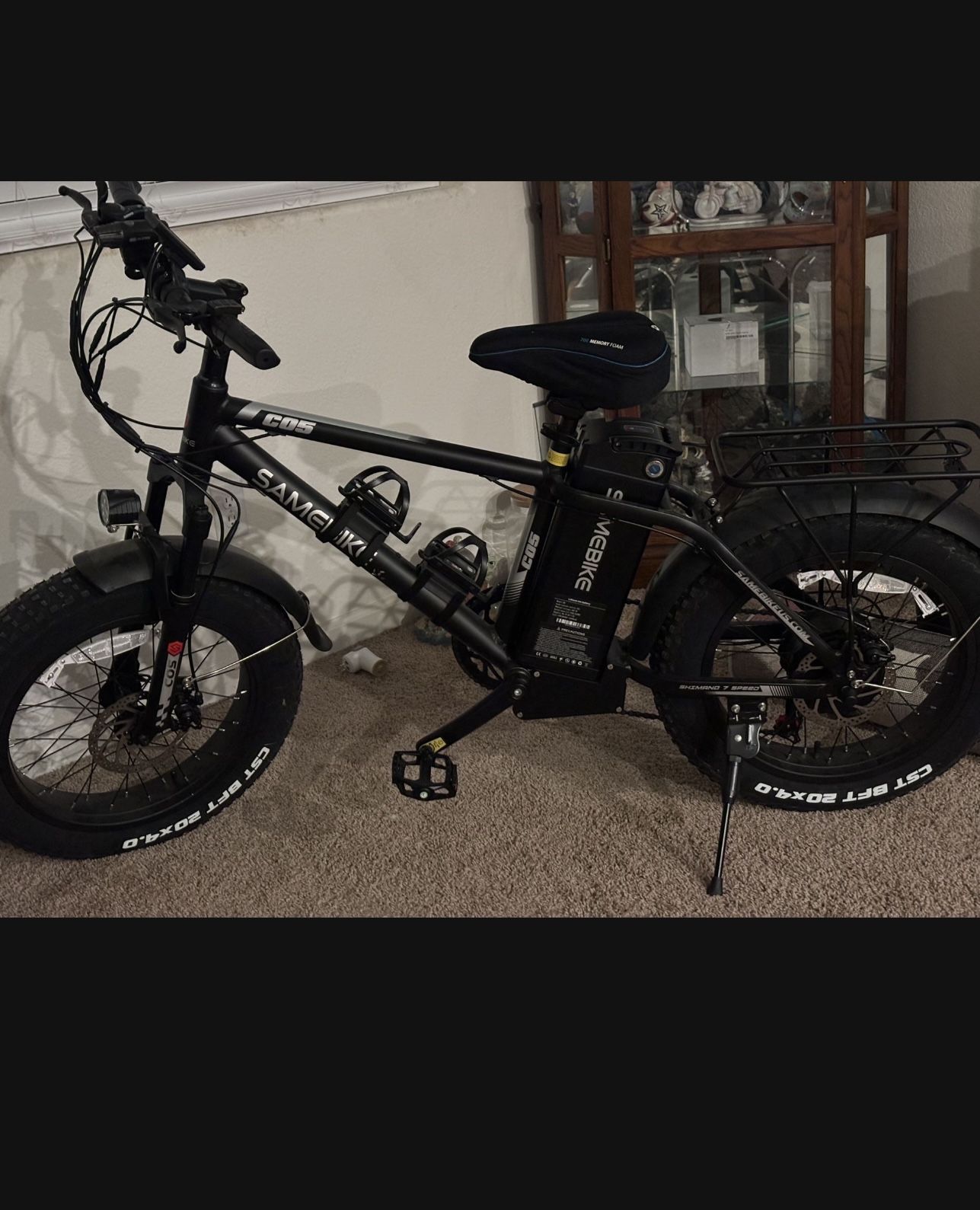 Full Size Electric Bike.