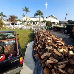 Firewood Fire Wood