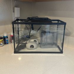 10g Fish Tank