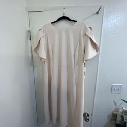 Pink Plus Size Calvin Klein Dress