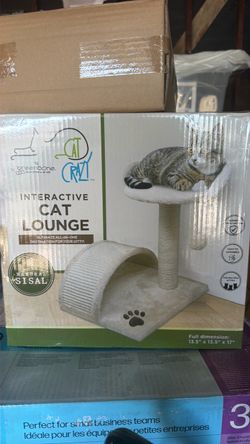 Cat Lounge New