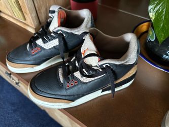Air Jordan 3 retro