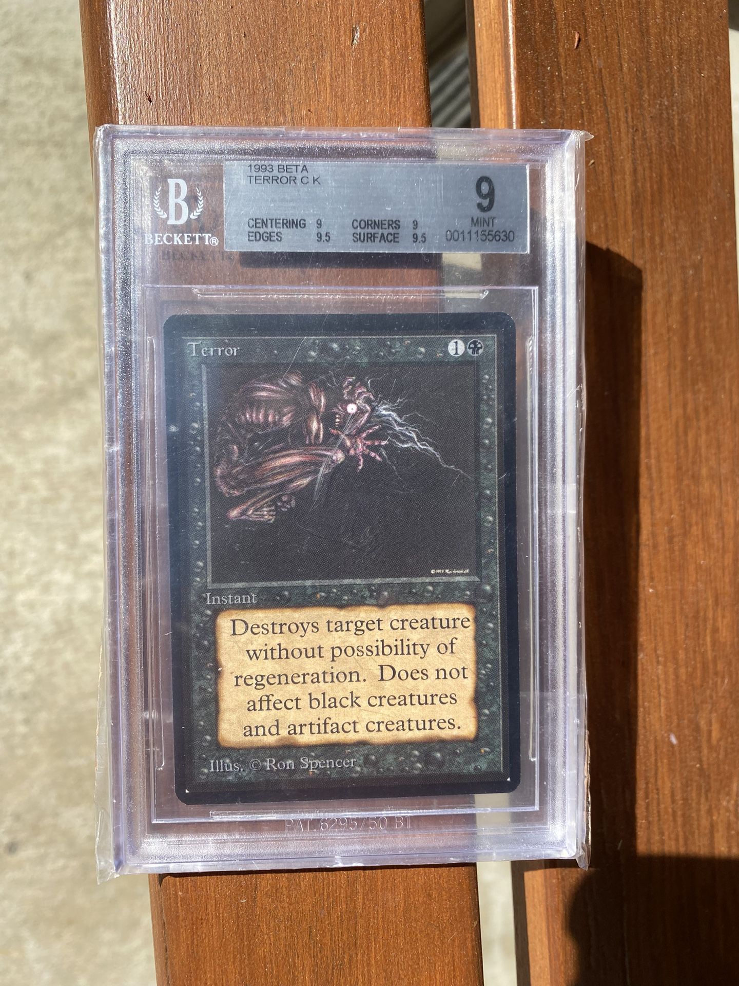 1993 Beta Terror C K
