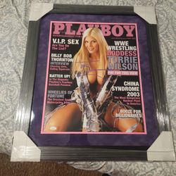 Torrie Wilson Autographed Frame Suede Background