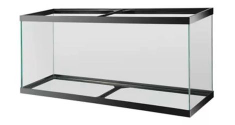 55 gallon fish tank