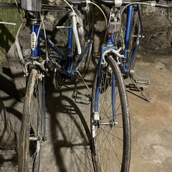 Schinn Vintage Bike (2)