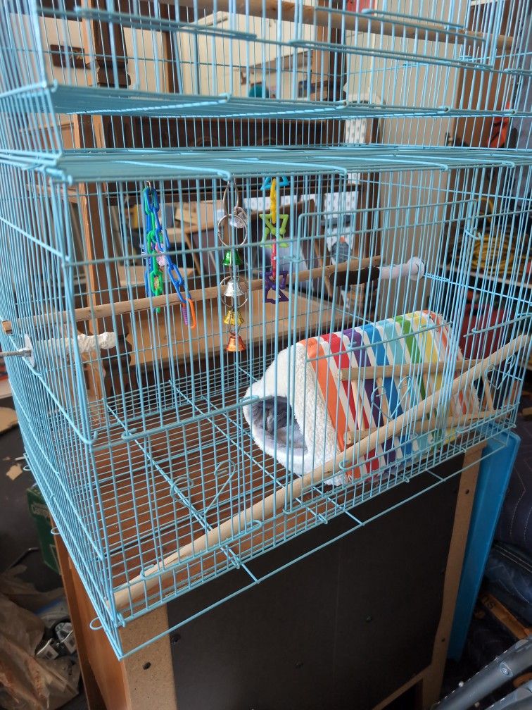 Large Bird Cages (2), Carryon And Toys