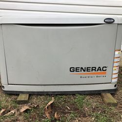 Whole Home Electric Generator 