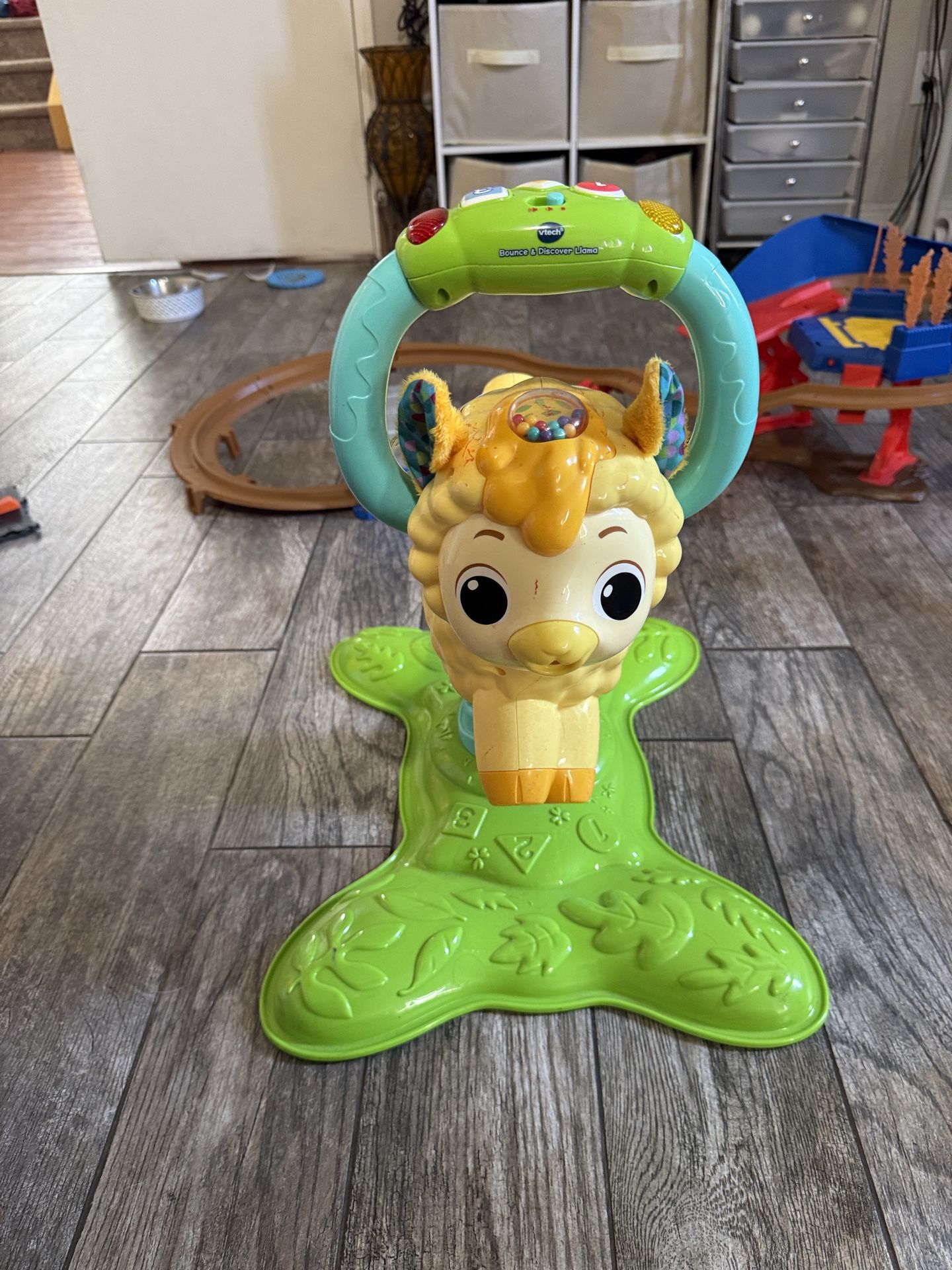 Bouncer Lamb