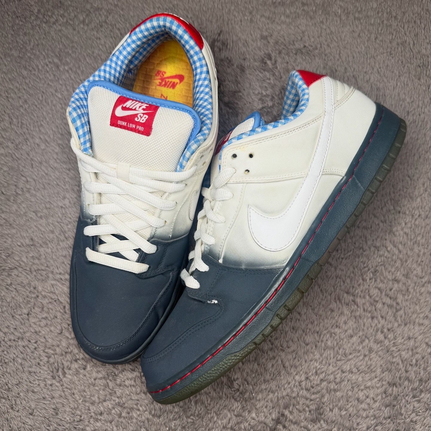 DOROTHY NIKE SB DUNK LOW SIZE 12