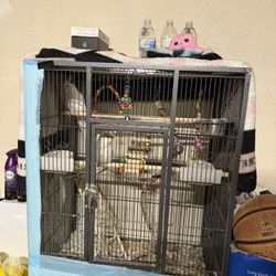 Cage/albino
