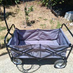 Folding Wagon 