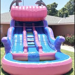 Pink Dolphin Water slide Jumper (no Blower)
