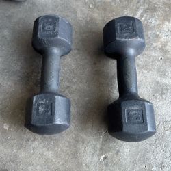 2 Eight Pound Weights Dumbbells 