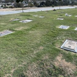 Cemetery Plot