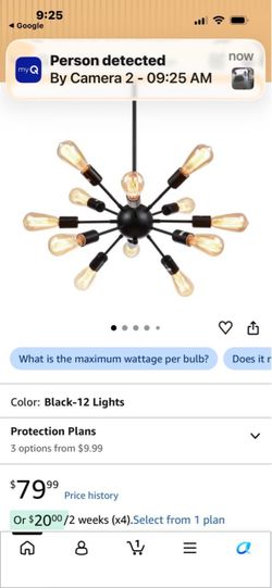 Black Sputnik Chandelier 12-Light Pendant