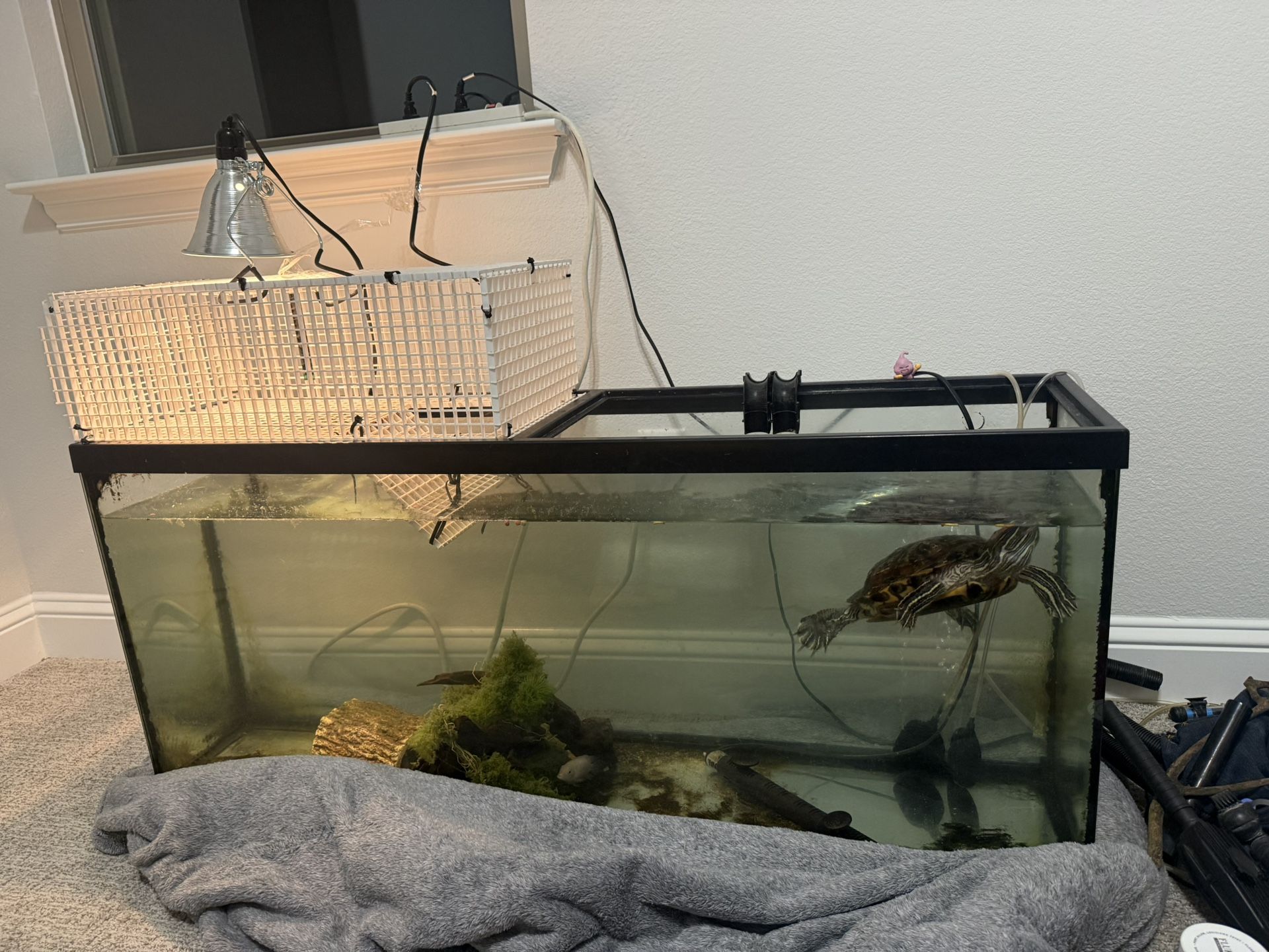 Aquarium 60 GAL (only tank, give me an offer)