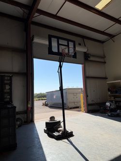 Lifetime Adjustable Basketball Hoop with Backboard